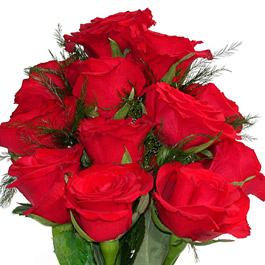 12 Red Roses